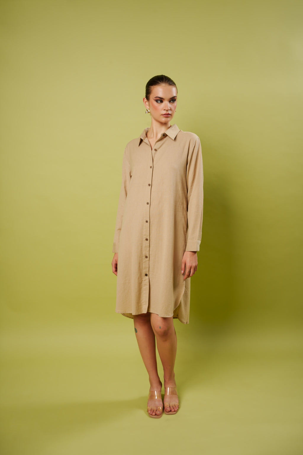 Wild Majesty shirt dress