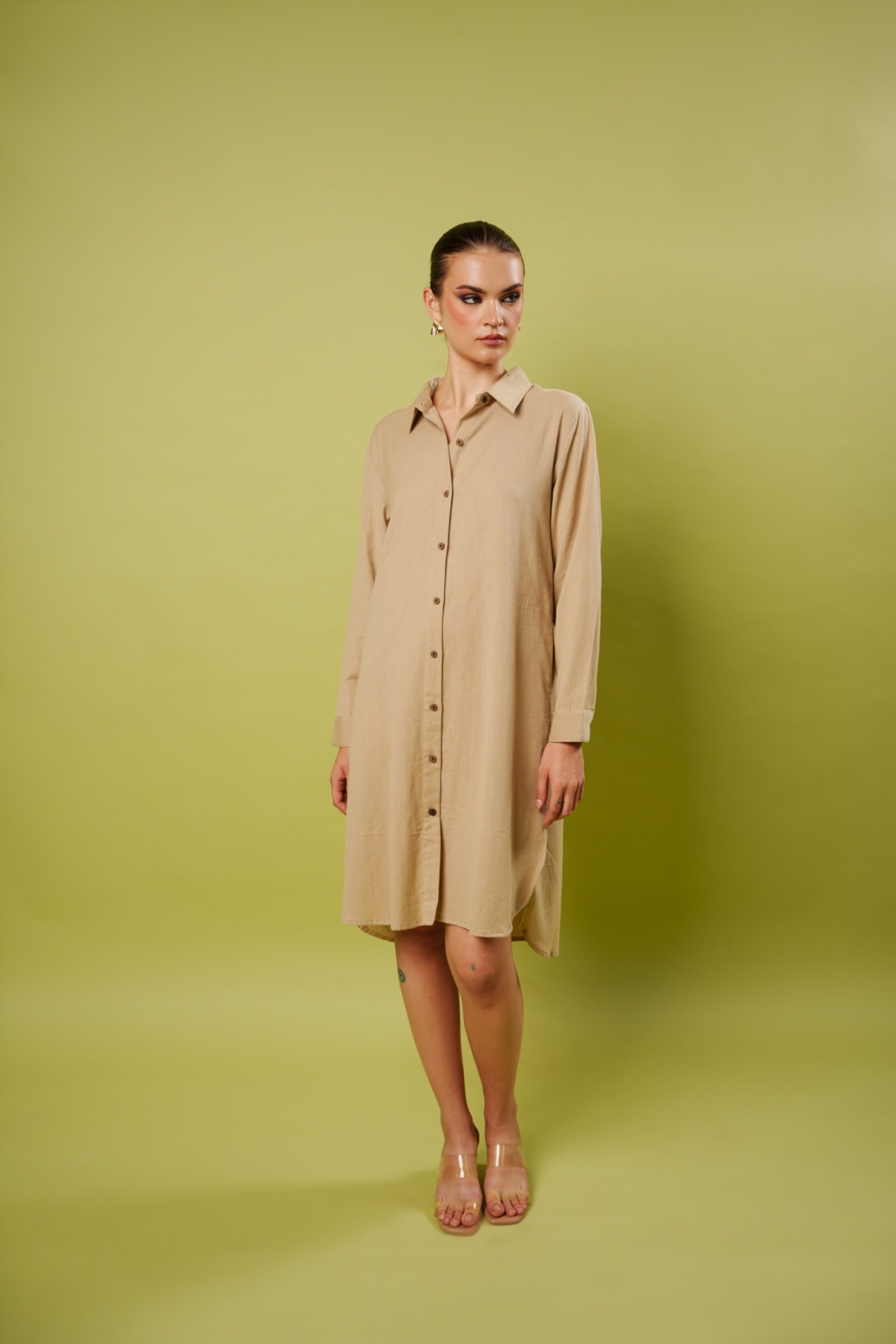 Wild Majesty shirt dress