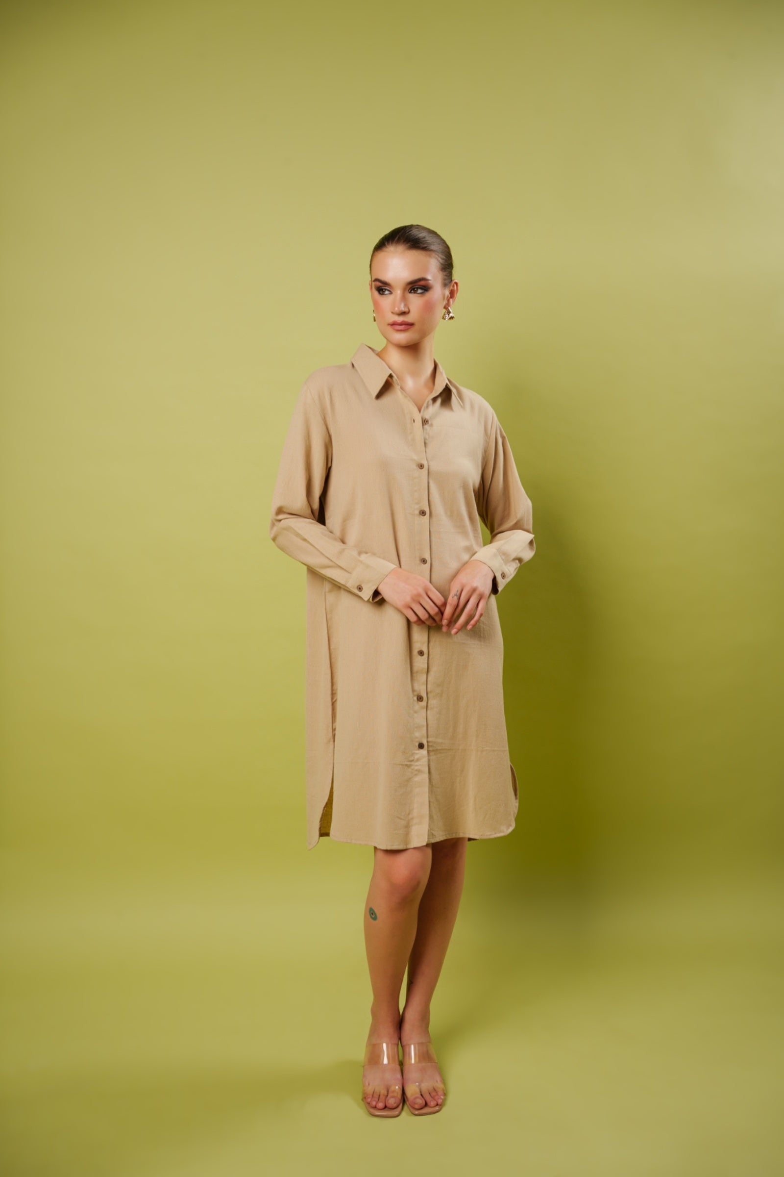 Wild Majesty shirt dress